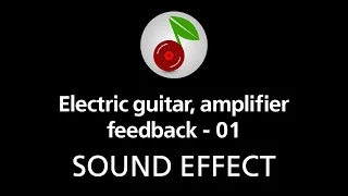 🎧 Electric guitar, amplifier feedback - 01, SOUND EFFECT