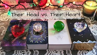 🐞 Their THOUGHTS and FEELINGS About You 😍 Head 🤔 vs. Heart 💖 PICK A CARD Timeless Love Tarot Reading