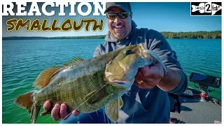 The Best All-Around Smallmouth Bass Presentation