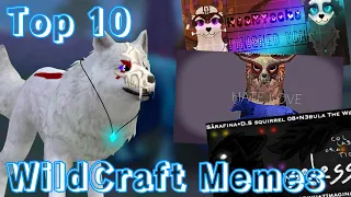 Top 10 Favourite WildCraft Memes Of 2022!!!