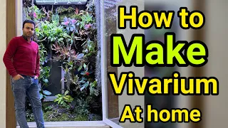 How to make 1/2*1/6*2/5 meter vivarium at home 🌳