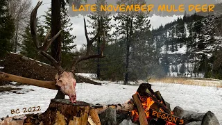 British Columbia Late November Mule Deer Hunt