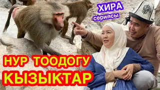 НУР ТООГО чыгып, ХИРА үңкүрүн КӨРҮП түштүк  -  МАЙМЫЛДАР көп экен  -  УМРА САПАРЫ 2022  -  34-серия