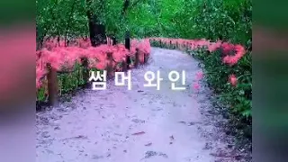 썸머 와인 (Summer  Wine). 가사첨부