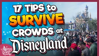 17 Best Tips to SURVIVE THE CROWDS at Disneyland