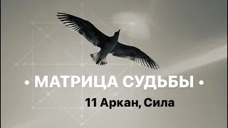 11 Аркан, СИЛА, МАТРИЦА СУДЬБЫ.