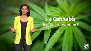 Sollte Cannabis in Deutschland legalisiert werden?