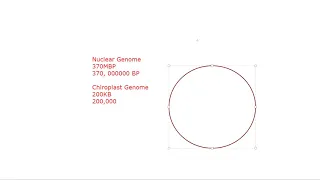 Chloroplast genome and sequence retrieval from NCBI