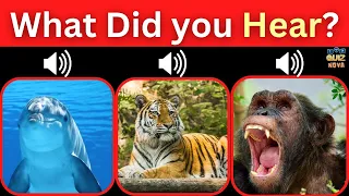 Guess the ANIMAL SOUND 🦁🕪 | #Animal Quiz, 🕬🐻🦊🐘, Which animal did you hear?