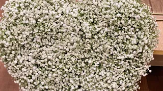 how to make gypsophila flower heart