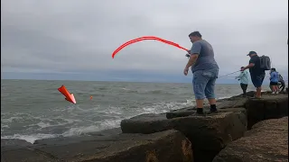 These Fish Were Everywhere *SURFSIDE JETTY*