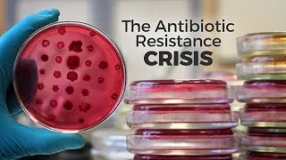 The Antibiotic Resistance Crisis - Exploring Ethics