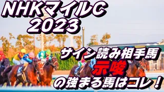 天皇賞春2023サイン読み相手馬｜CM、ポスター？世相！週中の解読から浮上する馬とは？