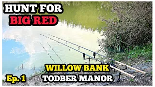 THE HUNT FOR BIG RED! TODBER MANOR WILLOW BANK! Ep. 1