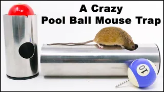 A Crazy Pool Ball Metal Pipe Mouse Trap Invented by a Youtube Viewer. Mousetrap Monday.