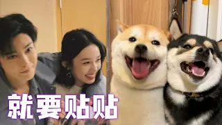 周也盲猜侯明昊童年照全对，包办婚姻就是甜！#护心【偶像星剧场】