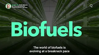 How Is Global Production of Biofuels Accelerating?