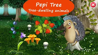 Pepi Tree - Explore tree dwelling animals and their habits in a fun way | Educational Games For Kids