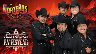 Los Norteños De Ojinaga 🔥 Pura 🔥🔥 🔥 Mix Canciones Completas - Los Norteños De Ojinaga Mix 2024