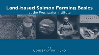 Land-based Salmon Farming Basics