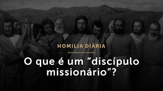 O que é um “discípulo missionário”? (Homilia Diária.1487: Sábado da 7.ª Semana da Páscoa)
