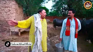 Tasleem Abbas New Village Comedy Show || Falak Sher || Tasleem Abbas Official@ranaijazofficial55