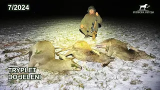 DEER TRIPLET | Deer hunting in Poland