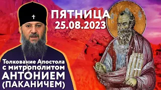 Пятница, 25 августа 2023 года. Толкование Апостола с митр. Антонием (Паканичем).