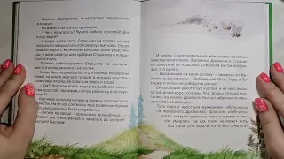 детские сказки 13 А Волков  Волшебник изумрудного города  Последнее волшебство Бастинды