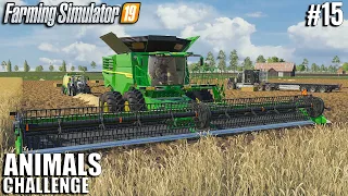 Harvesting OATS for HORSES🐴 | Animals Challenge | Farming Simulator 19 | Timelapse 15