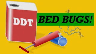 Why are BED BUGS so HARD to eliminate? - Reasons and Solutions in 2021