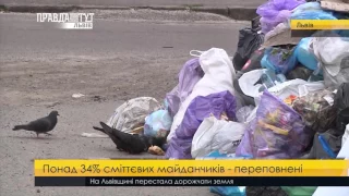 Понад 34% сміттєвих майданчиків переповнені. ПравдаТУТ Львів
