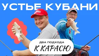 Две ДОНКИ на КАРАСЯ. Ловим около УСТЬЯ реки Кубань