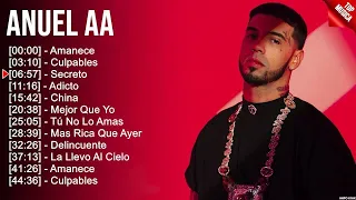 Anuel AA Grandes Exitos Enganchados - Sus Mejores Éxitos 2023