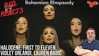 Red Reacts To Halocene, FirstToEleven, Violet Orlandi & Lauren Babic | Bohemian Rhapsody