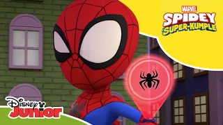 💎 Cześć, Felicjo | Spidey i Super-Kumple | Disney Junior Polska