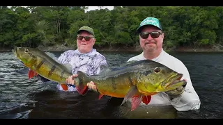 Amazon Peacock Bass Fishing: "Eps 7-7" Ultimate Remote Expedition with Amazon Xtreme Fishing