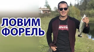 Форелевое хозяйство в Суксуне. Карп на 7 кг. Копчение рыбы.