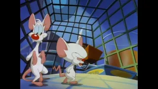 Animaniacs - Intro (German) (Pinky and the Brain) (V1)