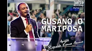 Apostol Reynaldo Franco Aquino - Gusano o Mariposa - Dom 5 de mayo