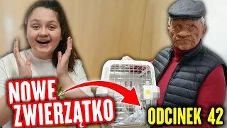 NOWE ZWIERZĄTKO 😍 ZŁA WIADOMOŚĆ 😥 ODC.42 MISIA I JA