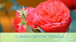 С Днём Святой Троицы!Music Church postcard Музыкальная открытка