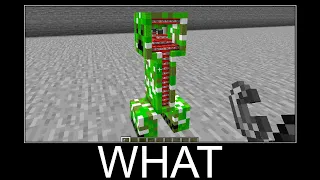 Minecraft WAIT WHAT meme 24/7 Livestream #282