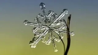 Close Up Photos Of Snowflakes