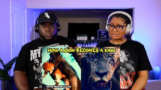 Kidd and Cee Reacts To From Cub to King: A Lion's Survival Guide (Casual Geographic)