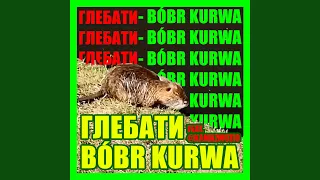 Bóbr kurwa