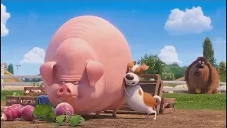 The Secret Life of Pets 2 (2019)  -  Max & Duke In farm Scene