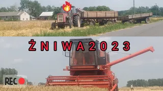 pierwsze żniwa w tym roku💥?          ryk silnika bizona Łódzkie w obiektywie 💥