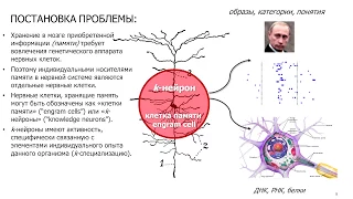 Анохин Константин Владимирович. Нейрофотоника живого бодрствующего мозга