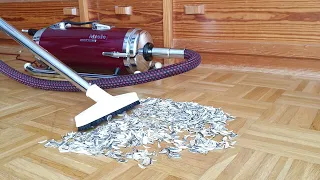 Vacuuming up sunflower seeds with old miele vacuum